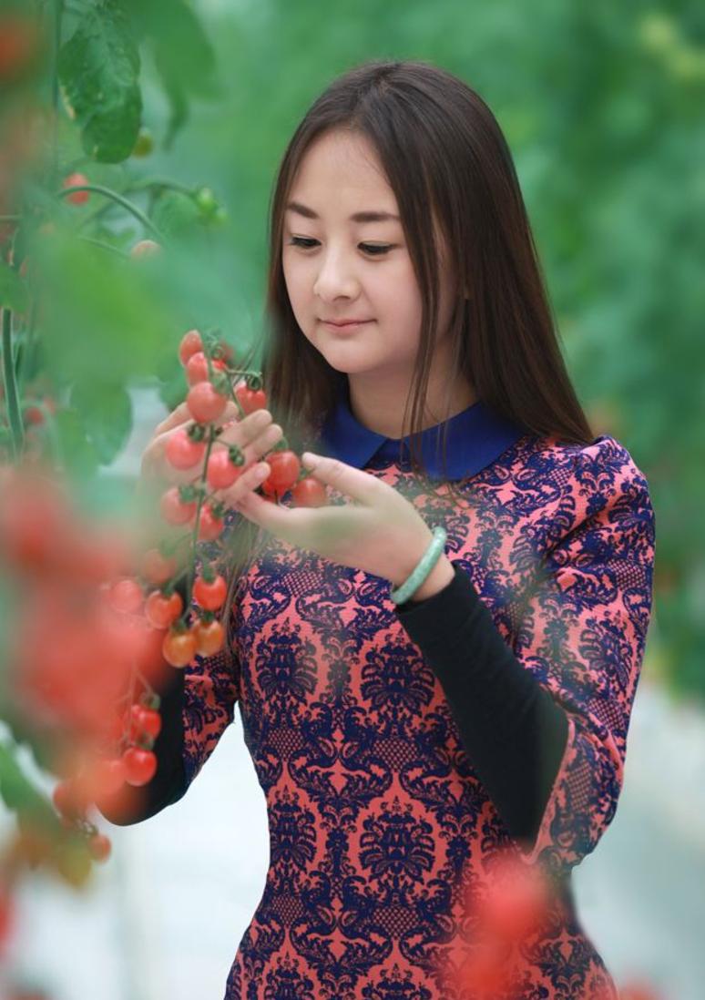 外交部发言人就甘肃相关评论文章发表观点