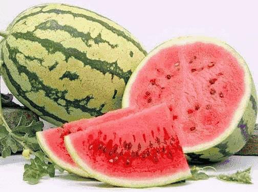 宁夏印象，塞上江南，风情万种🌄🌹🍀